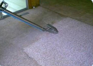 Techdry Carpet & Upholstery Dry Cleaning Pic 3 - carpet cleaning