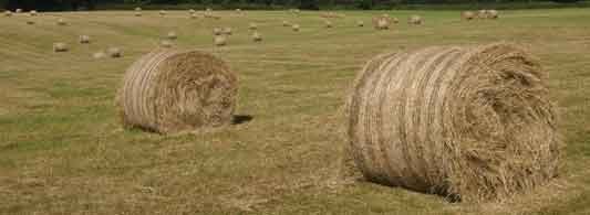 Stable Stop Pic 2 - Buy Round Bale 247