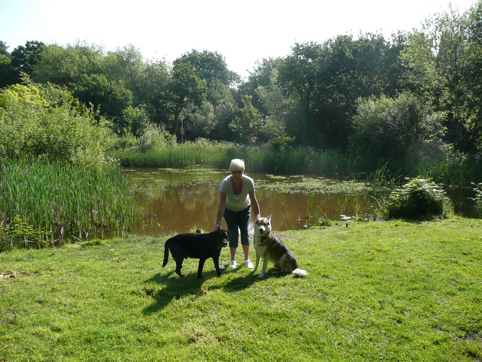 4 Paws Pet Boarding Pic 1 - Jean by one of our dams