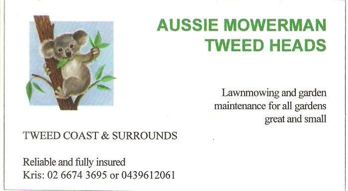 Aussie Mowerman Tweed Heads Pic 1