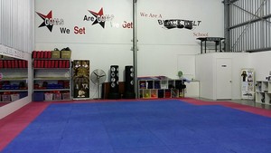 Hunter Valley Martial Arts Centre Pic 3