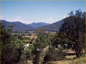 Crystal Spring Bush Cabins Pic 1 - Outside view from cabin