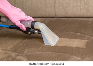 Fresh Upholstery Cleanings Melbourne Pic 5