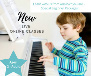 Australian Music Schools Dulwich Hill Pic 4 - Australian Music Schools Northern Beaches Special Beginner Packages Online All Ages