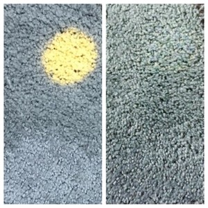 Ultra Brite Carpet & Tile Cleaning Pic 2