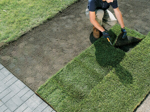 Phoenix Tropical Landscapes Pic 3 - turfing