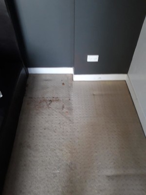 Pristine Carpet Services Pic 2