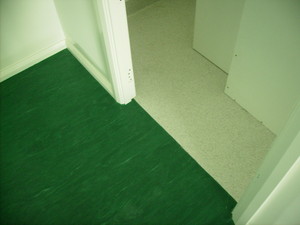 TG Total Flooring Pic 4 - vinyl