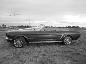 MELBOURNE MUSTANG CAR HIRE Pic 4 - Classic MustangMelbourne Mustang Car Hire