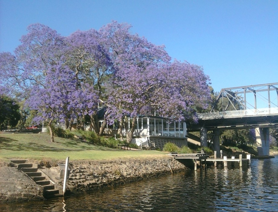 Shoalhaven River Cruise Pic 1 - Shoalhaven River View