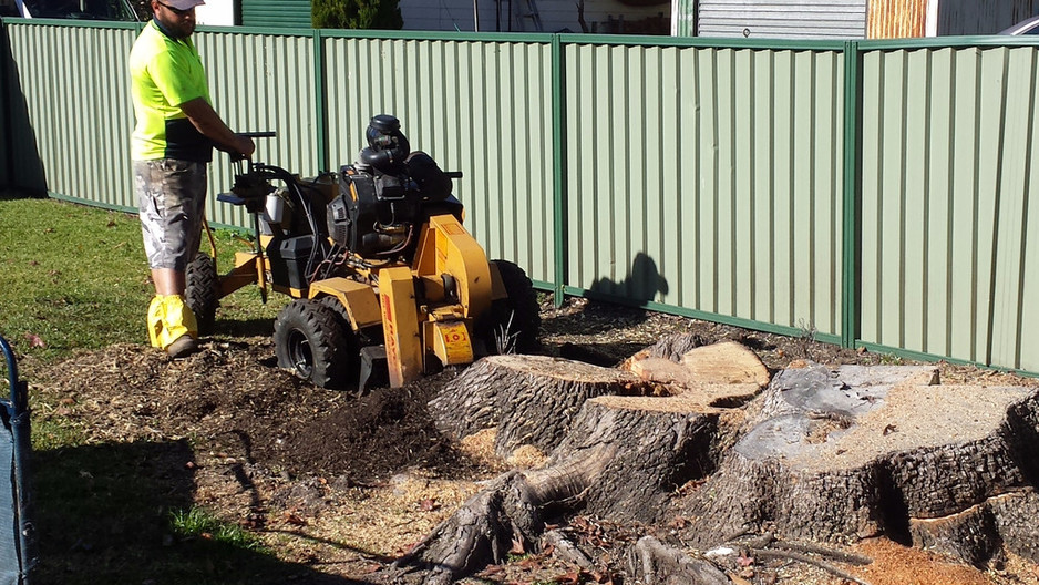 Coastal Stump Worx Pic 1