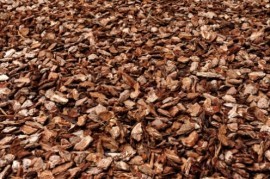 Sydney Tree company Pic 2 - Tree Chippings