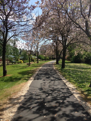 Alpine Valley Cottages Pic 4 - Murray to Mountains Rail Trail nearby