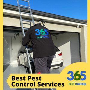 365 Pest Control Pic 3