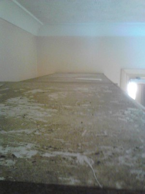 Tru Blu Carpet Cleaning & Maintenance Service Pic 2 - Top of kitchen cupboards covered in grease and dust