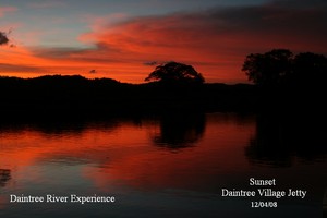 Daintree River Experience Pic 3