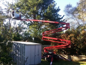 Dixon's Tree Service Pic 5