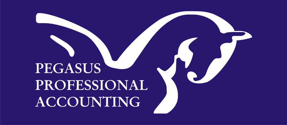 Pegasus Professional Accounting Pic 1