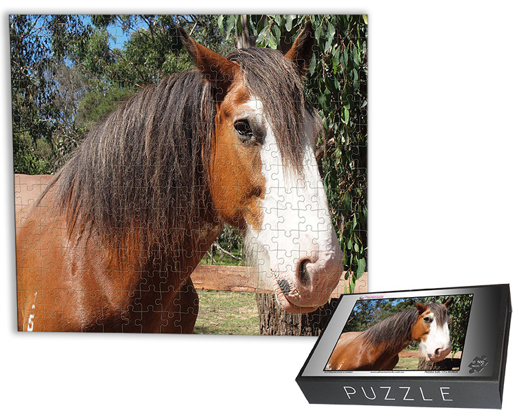 dmemories4u - Personalised Jigsaw Puzzles Pic 1