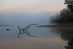 Kristien Palmer Photography Pic 3 - Millbrook Reservoir Adelaide Hills