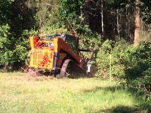 JJays Contracting Pic 5 - Lantana Removal