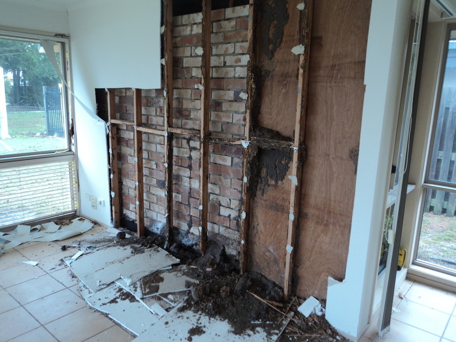 Sunstate Building & Pest Reports Pic 1 - concealed termite damage located during a recent inspection was estimated about 8000000 worth of damage quoted from my builder