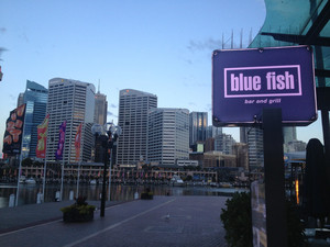 Blue Fish Deals (Sydney) Pic 3