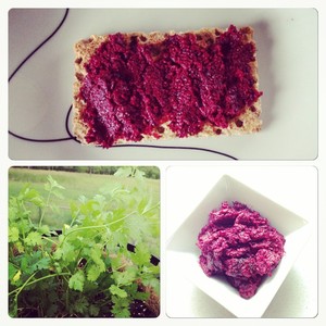 Elysium Health Solutions Pic 4 - Beetroot and coriander dip