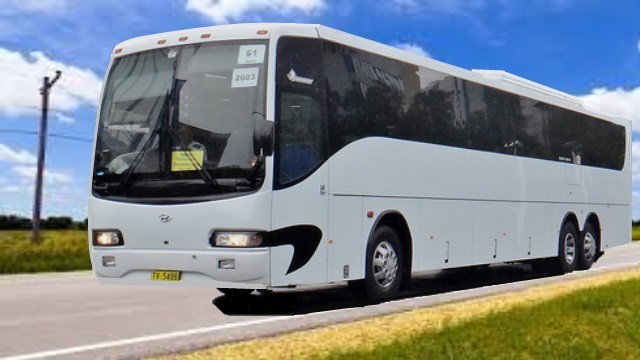 Sydney Coach Hire & Bus Charter Pic 1