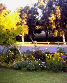 Parkside Bed And Breakfast Pic 1 - Parkside Bed and Breakfast Perth Western Australia