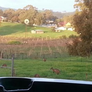 Barossa Soulful Connection Massage & Healing Pic 4 - Relax with a glass of local wine while overlooking some Gorgeous views in Williamstown