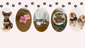 The Pawfect Patisserie Pic 2