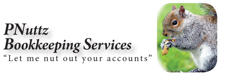 PNuttz Bookkeeping Services Pic 1