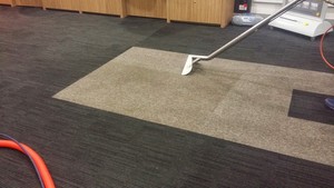 Davids Professional Carpet Steam Cleaning Pic 3 - Before After