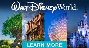 Dreamweaver Travel Group Pic 4 - Walt Disney World in Florida USA