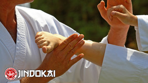 Jindokai Shotokan Karate-Do Pic 3 - Traditional Japanese Shotokan Karate A martial arts club for Kids Adults Families Denison Centre Mawson Lakes Salisbury