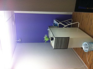 Serenity Sports Therapy Pic 3 - the clinic