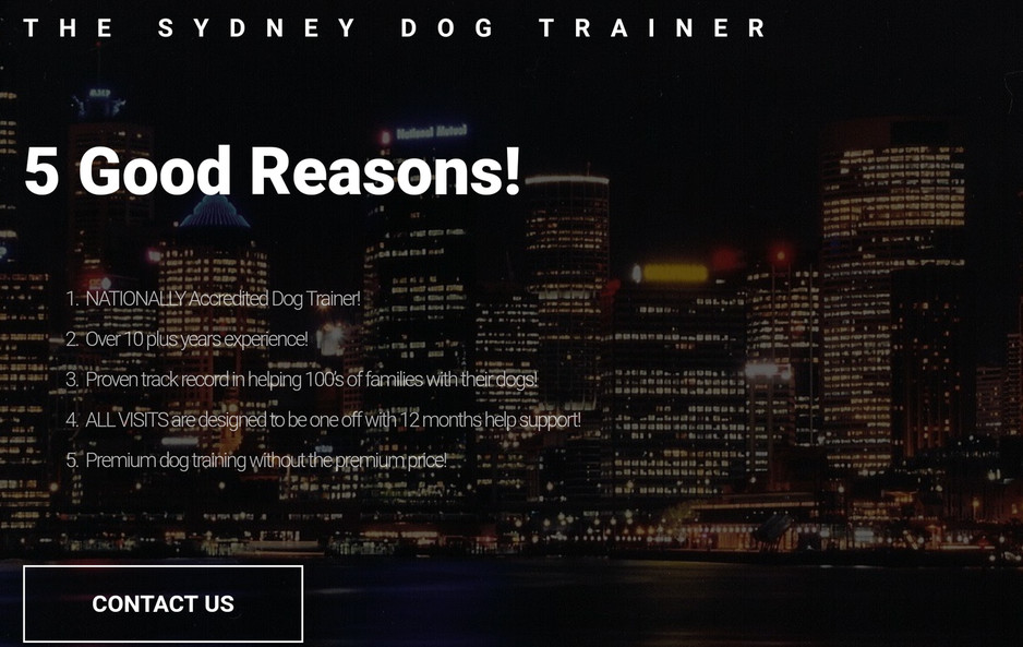 TSDT The Sydney Dog Trainer Pic 1