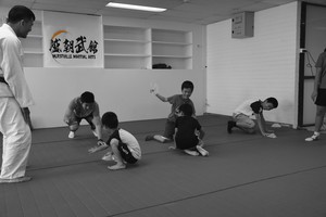 Hurstville Martial Arts (HMA) Pic 3