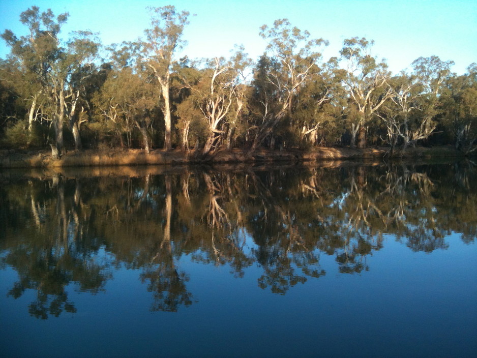 Goolwas Spa & River Retreat Pic 1 - The view of the mighty Murray River