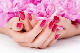 Gelly Rose Pic 4 - Beautiful Hands