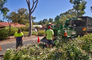 TREES NEED TREE SURGEONS Pic 2 - No mess no fuss we will mulch the debris which is then environmentally friendly