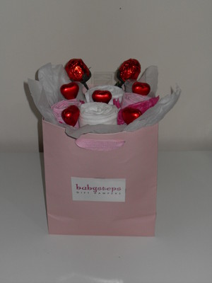 Babysteps Pic 4 - baby girl gift bag