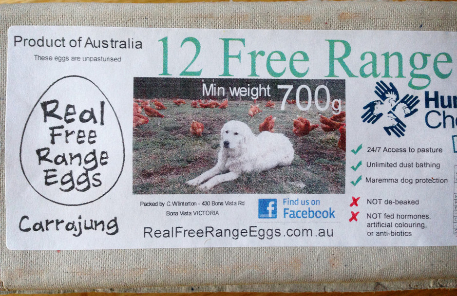 Real Free Range Eggs Pic 1