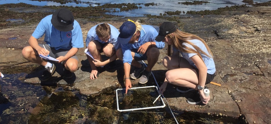 Coastal Environment Centre Pic 1 - Biology Fieldtrip