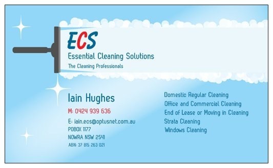 Essential Cleaning Solutions Pic 1