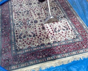 Cleaner Choice Melbourne Pic 4 - Carpet Cleaning