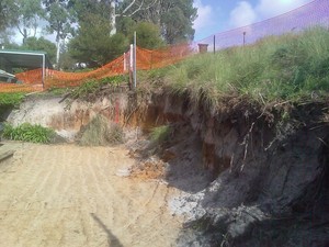 Big Cat Earthworks Pic 2