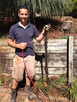 Ezi-Jet Pic 4 - A 2 meter long root from a stormwater pipe in Bilgola Plateau