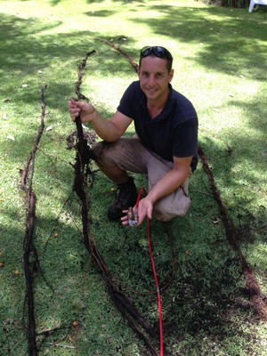 Ezi-Jet Pic 5 - A 12 meter long root from a pipe in Avalon